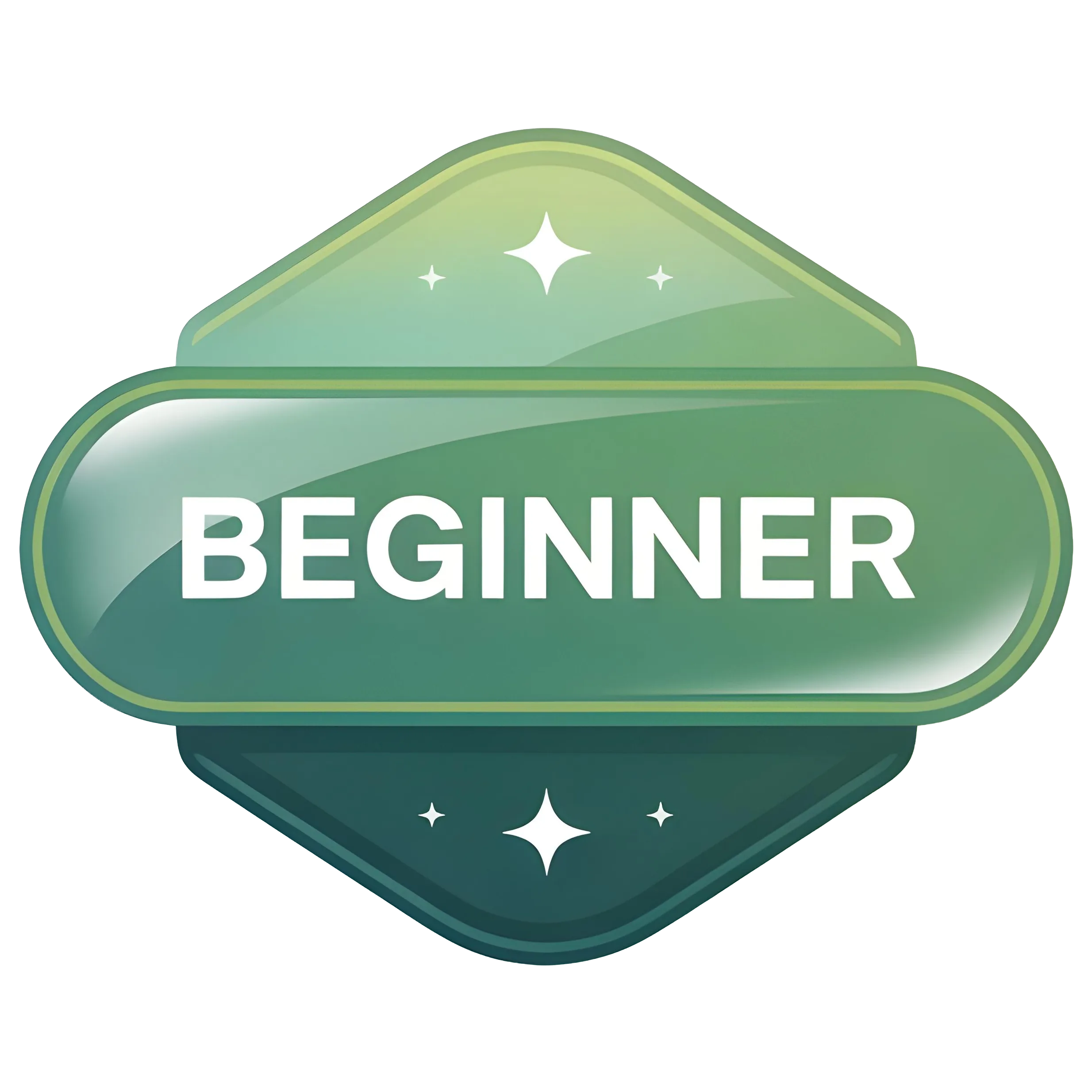 BEGINNER
