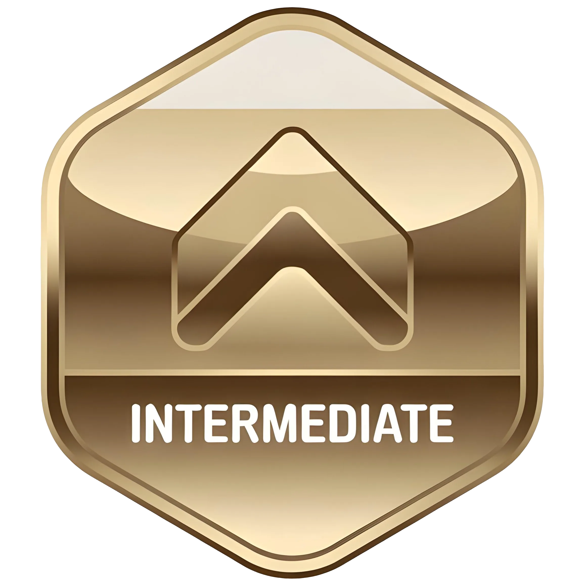 INTERMEDIATE